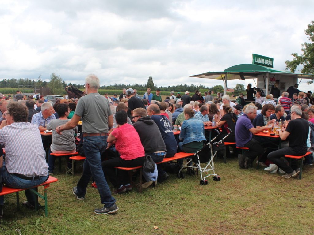 w1176_h662_x750_y500_Kohlwald_117_2-0bb0e37c5c8393e7