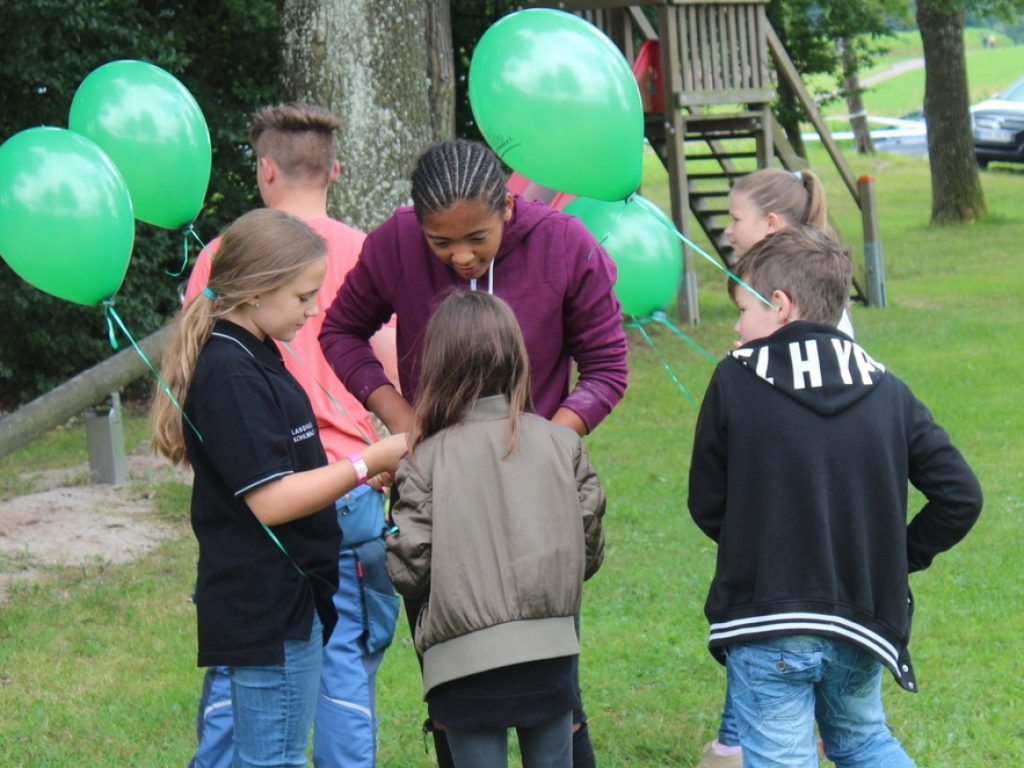 w1176_h662_x750_y500_Kohlwald_163-6f9a210012a6b0b8